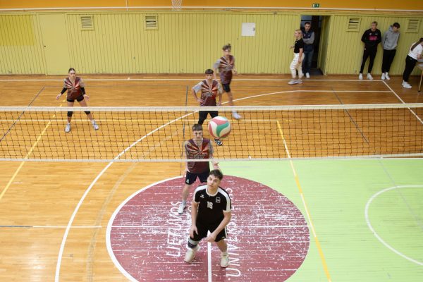 Europos diena su kamuoliu 2024-17