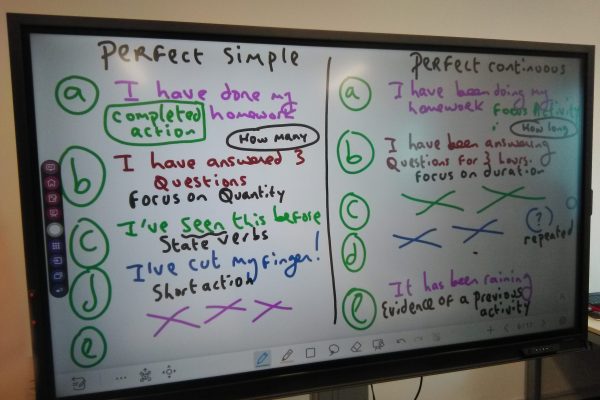 IMG_20260120_122341 IMG_20260120_122341